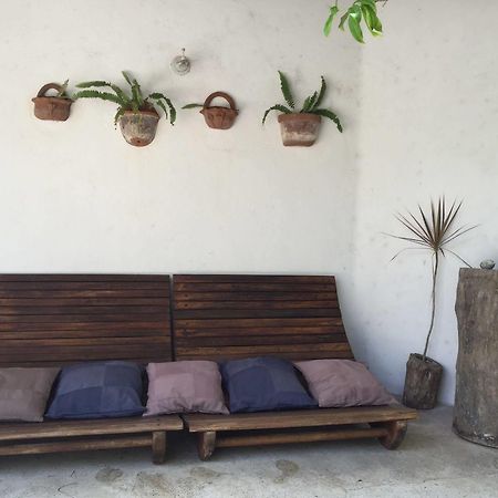 ホテル Mi Casa En コスメル エクステリア 写真