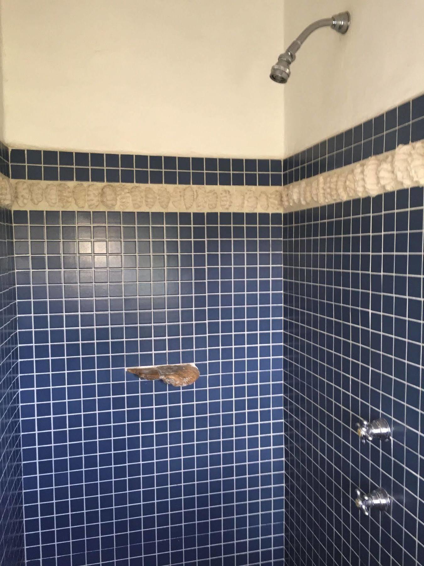 ホテル Mi Casa En コスメル エクステリア 写真