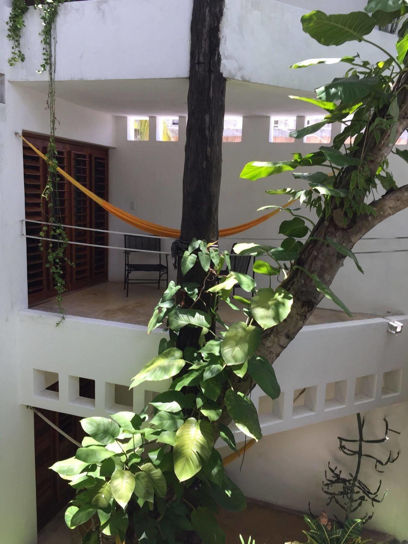ホテル Mi Casa En コスメル エクステリア 写真