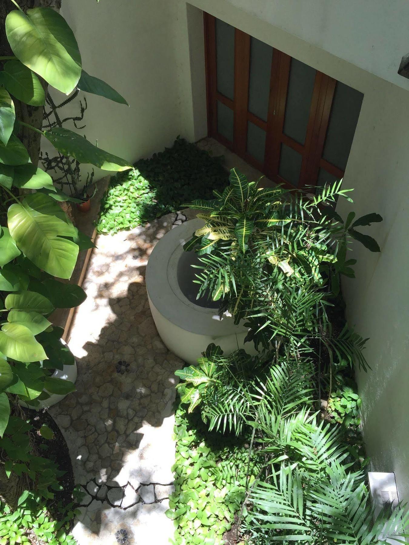 ホテル Mi Casa En コスメル エクステリア 写真