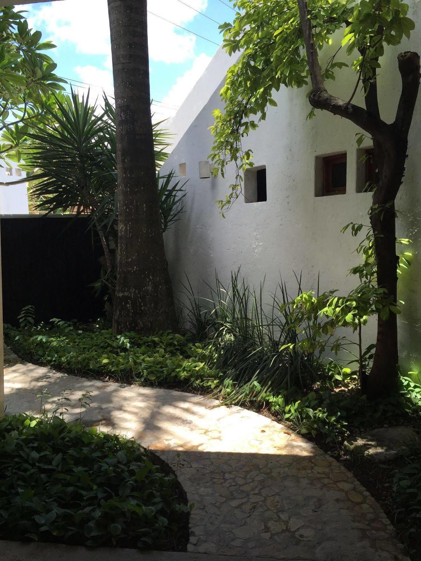 ホテル Mi Casa En コスメル エクステリア 写真