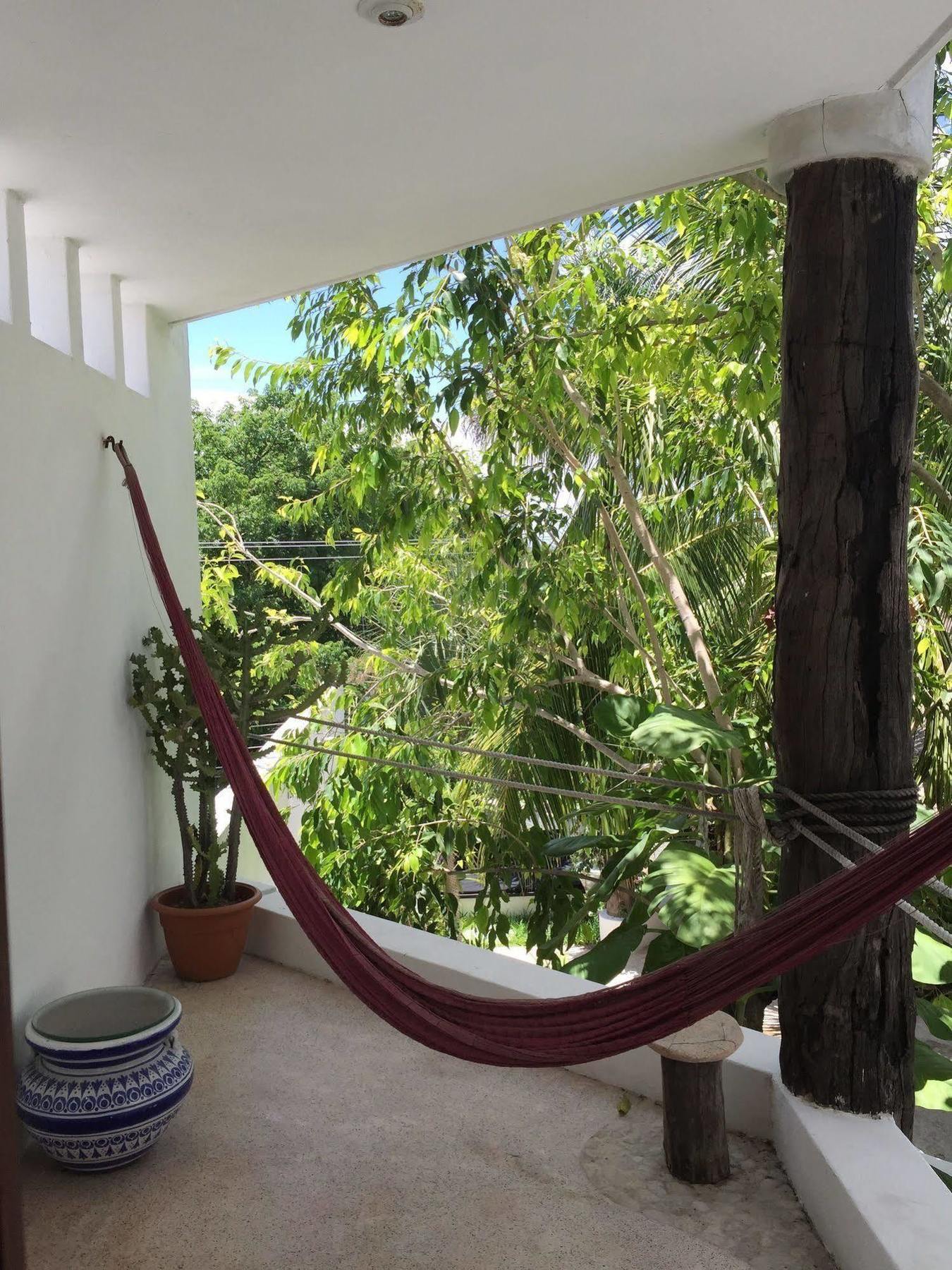ホテル Mi Casa En コスメル エクステリア 写真